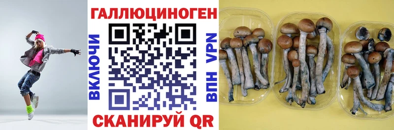 дарк нет официальный сайт  Ладушкин  Галлюциногенные грибы мицелий  кракен зеркало 